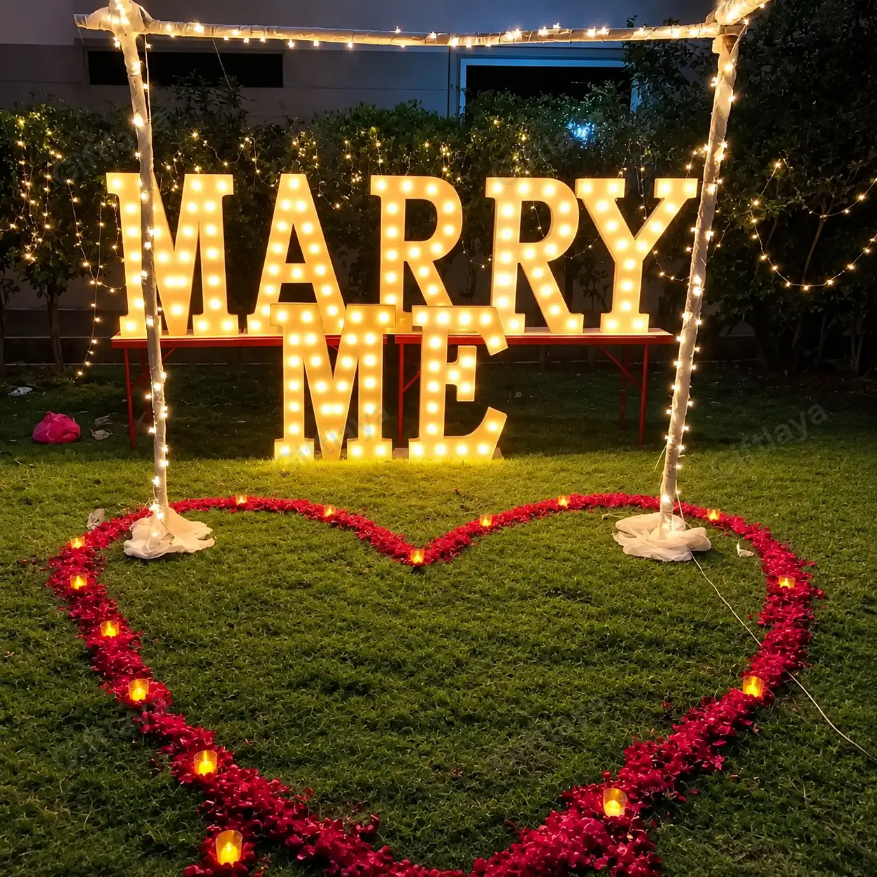 Outdoor Proposal Decoration — photo 3