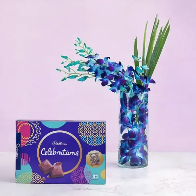 Radiant Orchid Vase with Chocolate