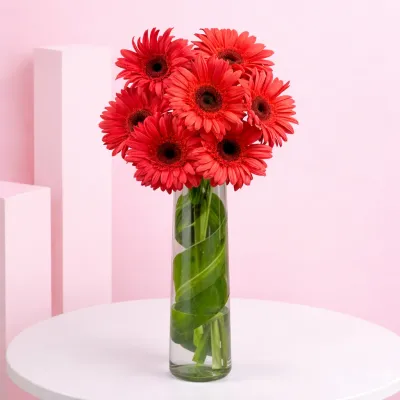 Pretty Pink Gerberas