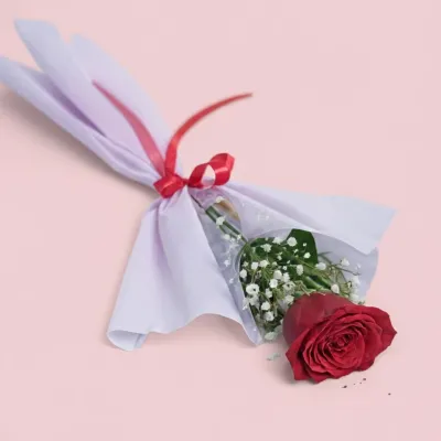 Single Red Rose