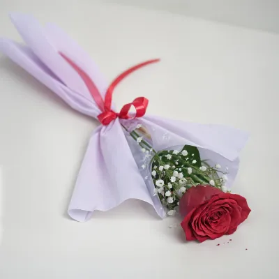 Single Red Rose