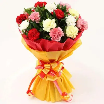 Mixed Carnations Bunches