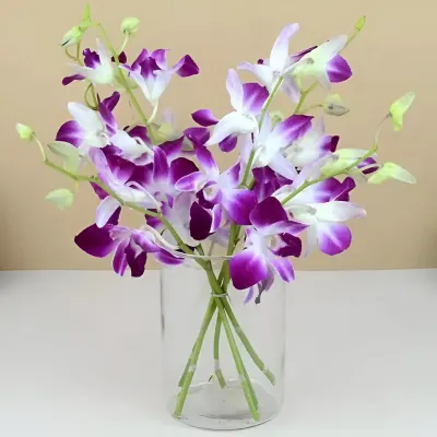 Purple Floral Beauty