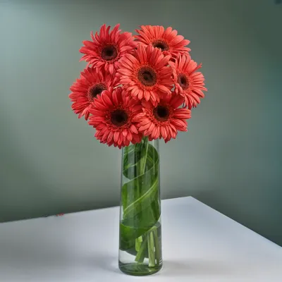 Pretty Pink Gerberas