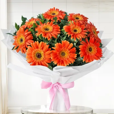 Dazzling Orange Gerberas