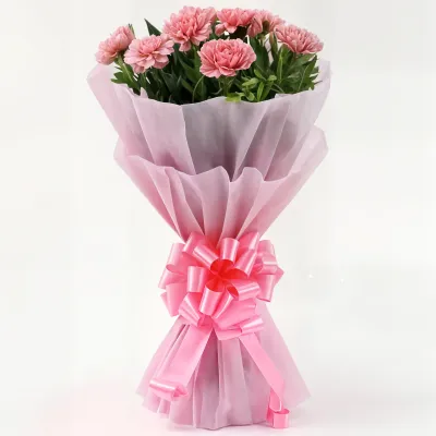 Pink Carnations Bunches