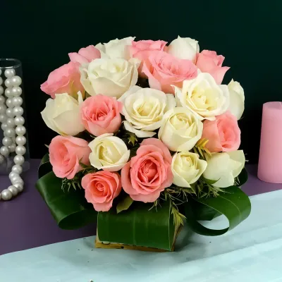 Pink n White Roses