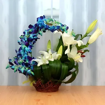 Orchid Basket
