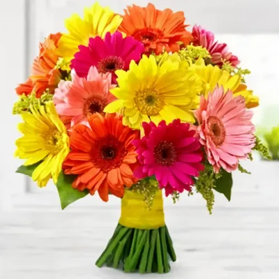Colorful Charm
