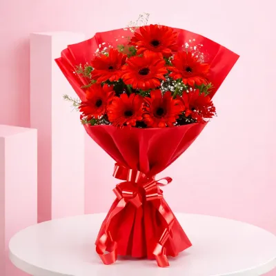 Red Elegance Gerberas
