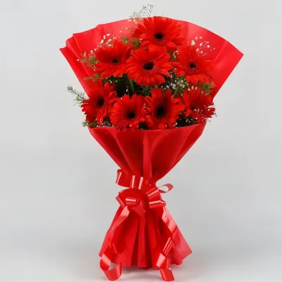 Red Elegance Gerberas