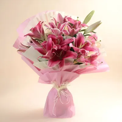 Lily Pink Delight