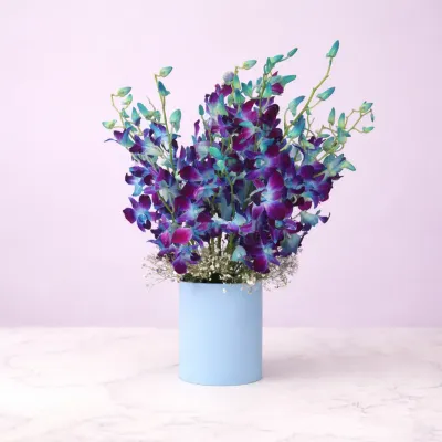 Dreamy Blue Orchids in Vase