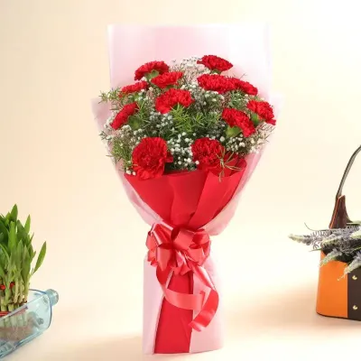 Beautiful Carnations Bouquet