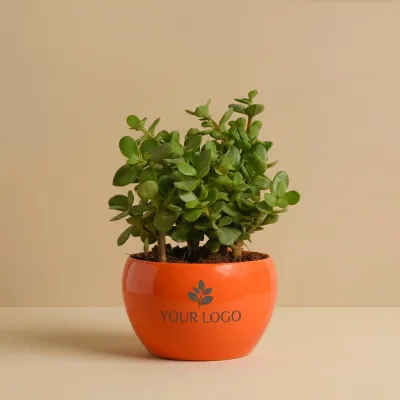Custom Logo Corporate Plant Gift