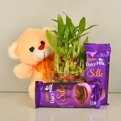 Lucky Bamboo Combo