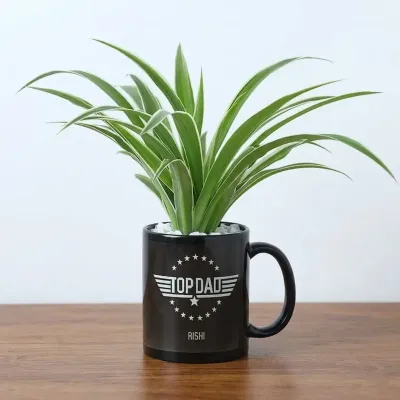 Spider Plant in Mug