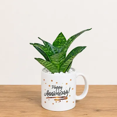 Snake Plant Gift Mug for Anniversary