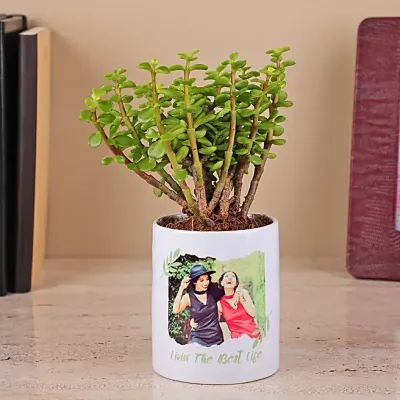 Photo Printed Planter with Jade Plant