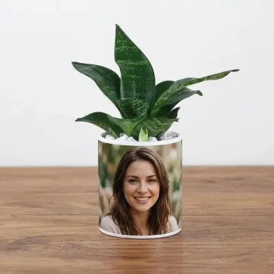 Custom Photo with Snake Plant 