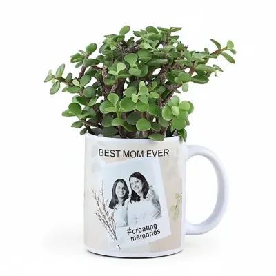 Photo Mug with Jade Plant