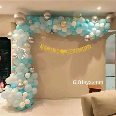 Baby Boy Naming Arch