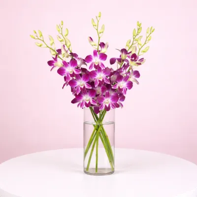 Purple Floral Beauty