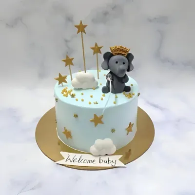 Baby Elephant Welcome Cake