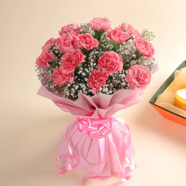 Baby Pink Carnation Bouquet