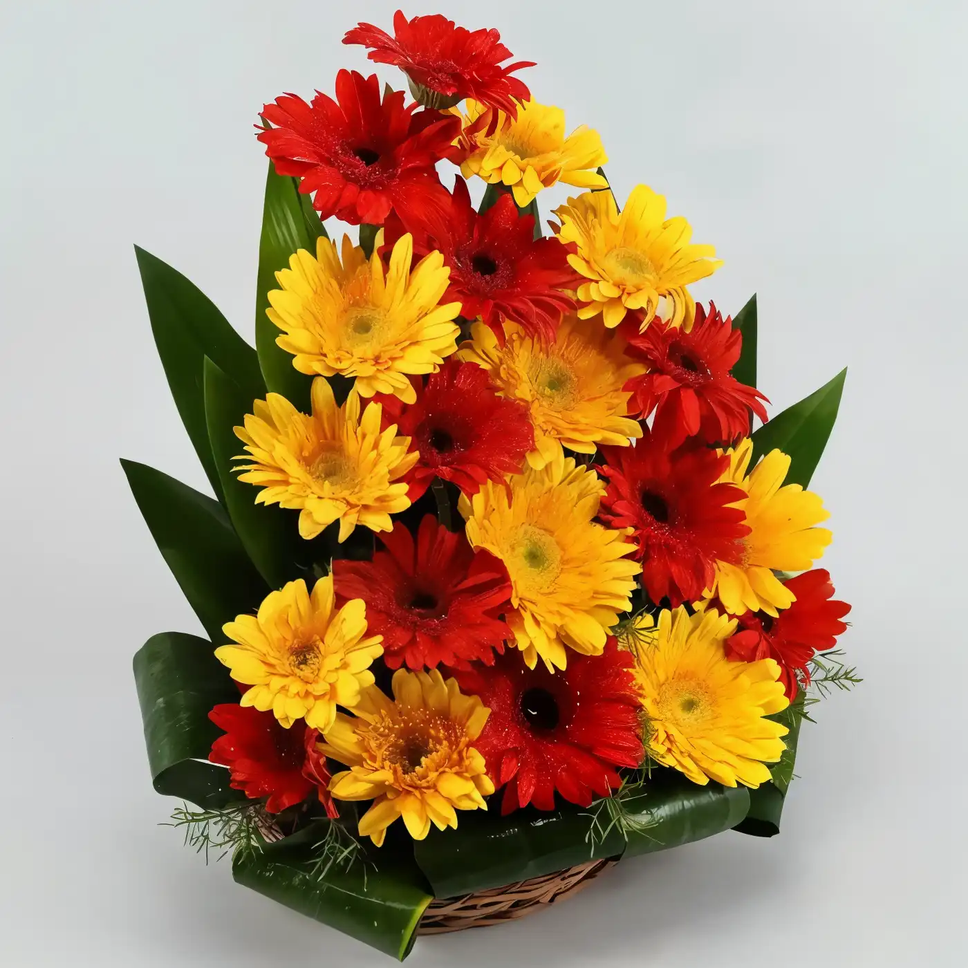 Exhilarating Floral Beauty