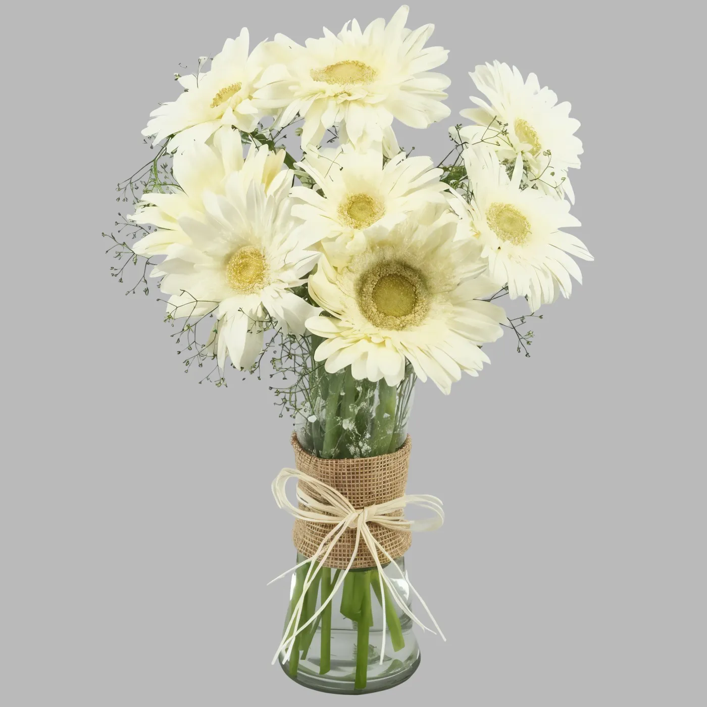 Serene White Gerberas