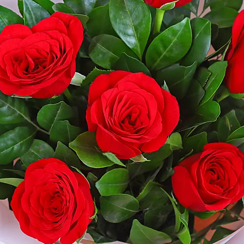 6 Rose bouquet delivery in Bhubaneswar