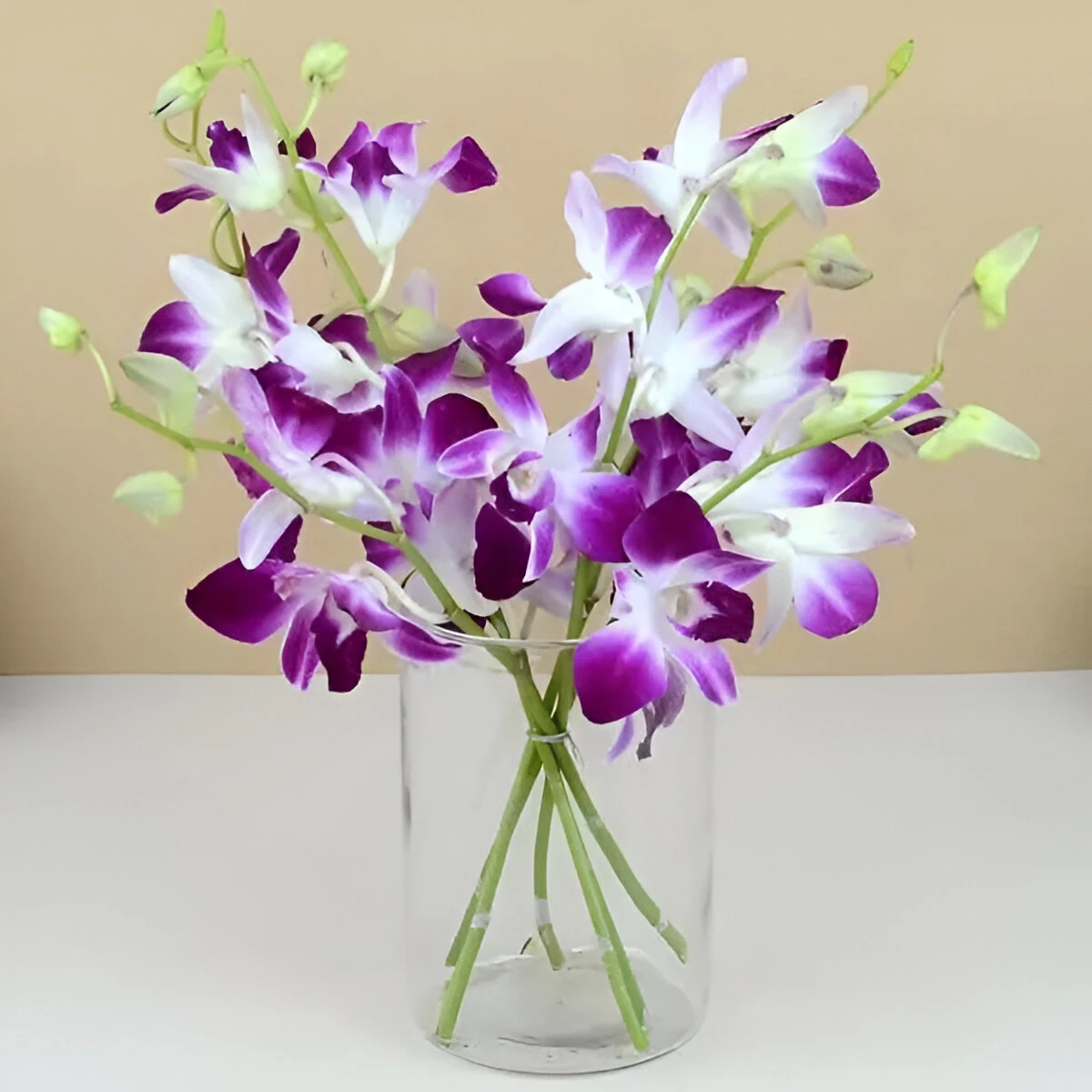 Purple Floral Beauty