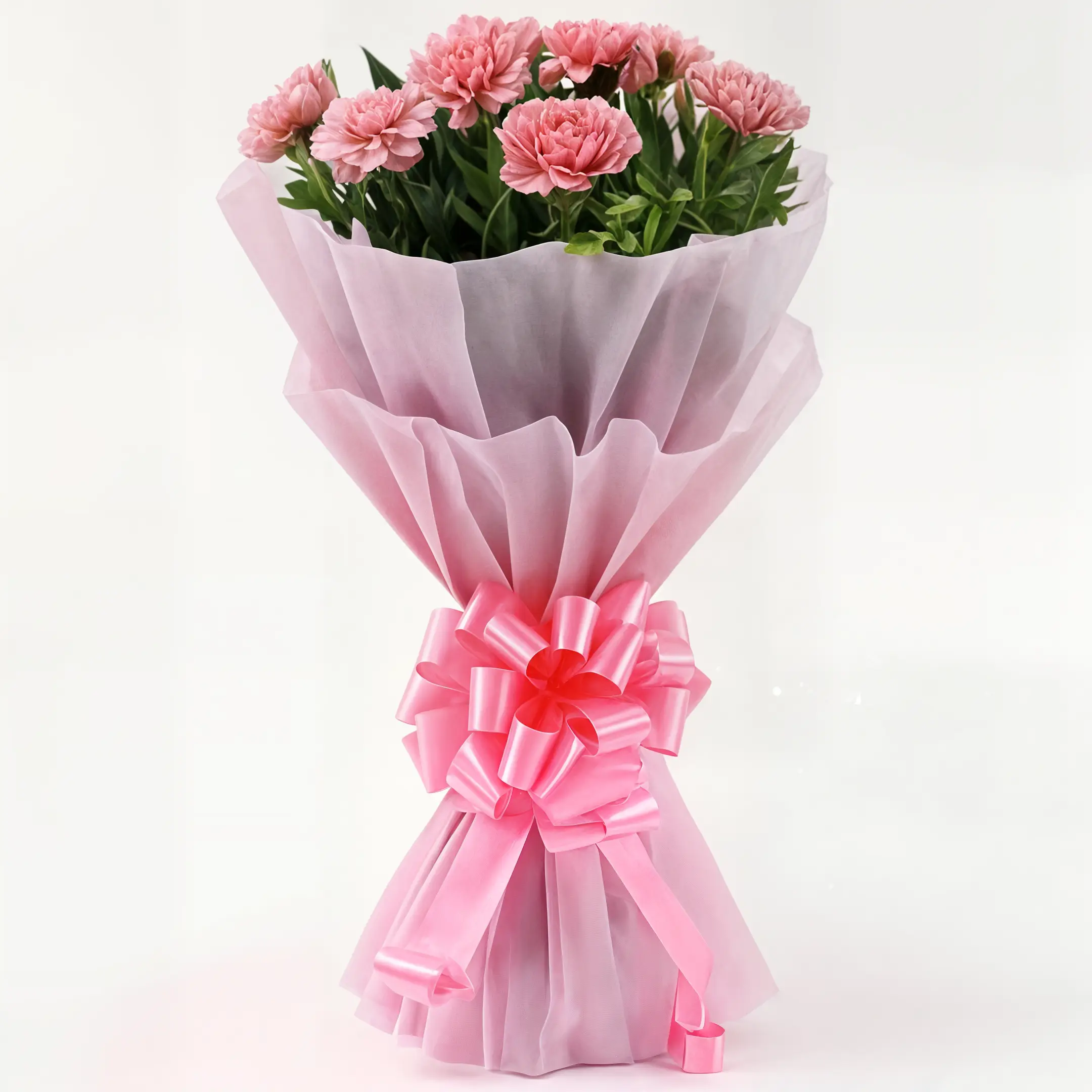 Pink Carnations Bunches