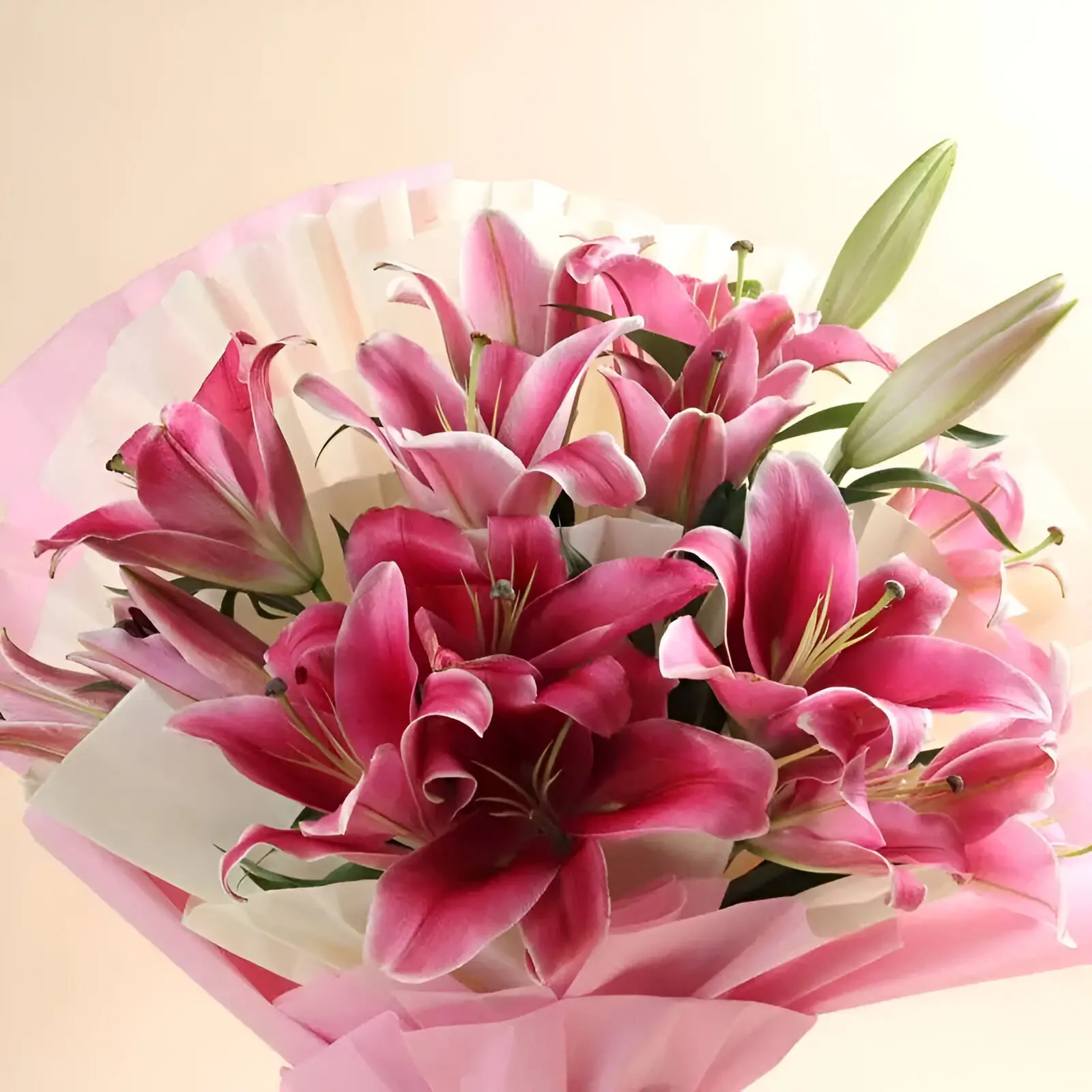 Lily Pink Delight