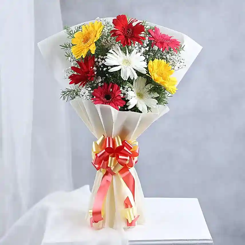 Mixed Gerberas with Butterscotch Delight