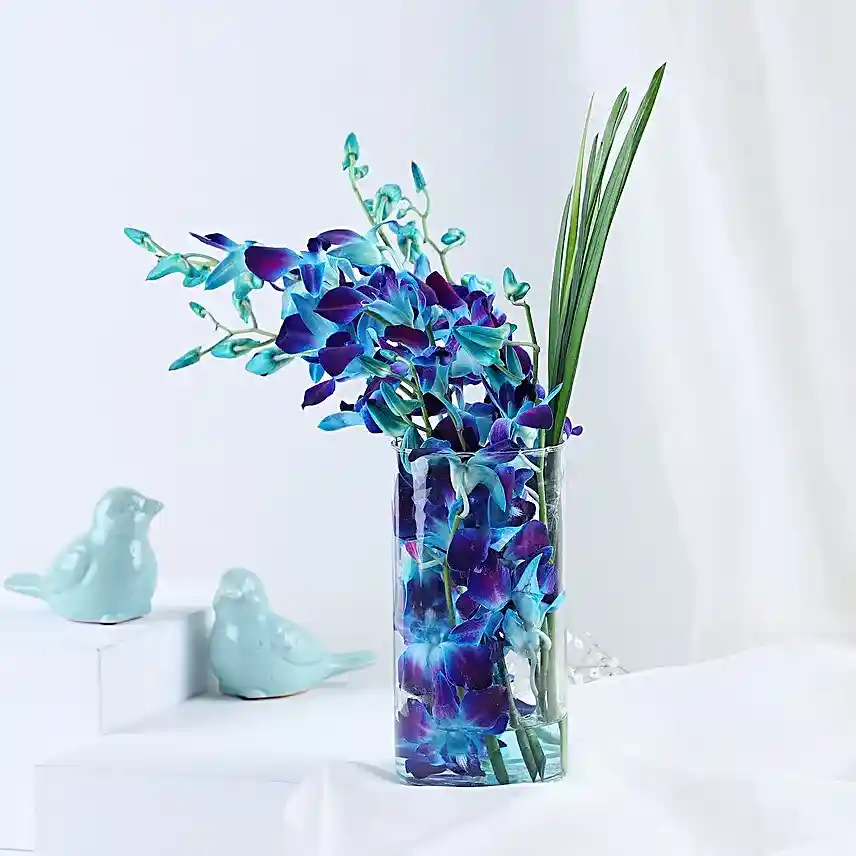 Radiant Orchid Vase with Chocolate