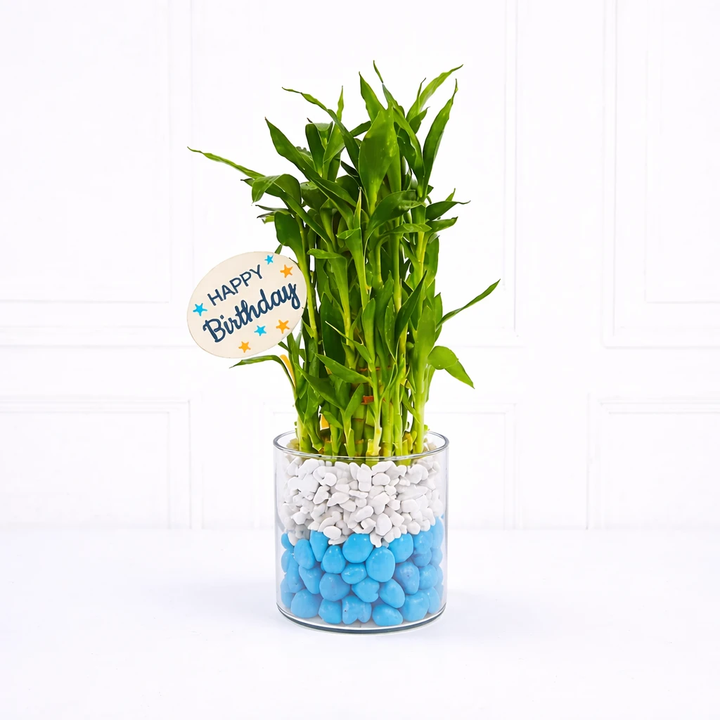 Lucky Bamboo with Chocolate Cake — photo 2
