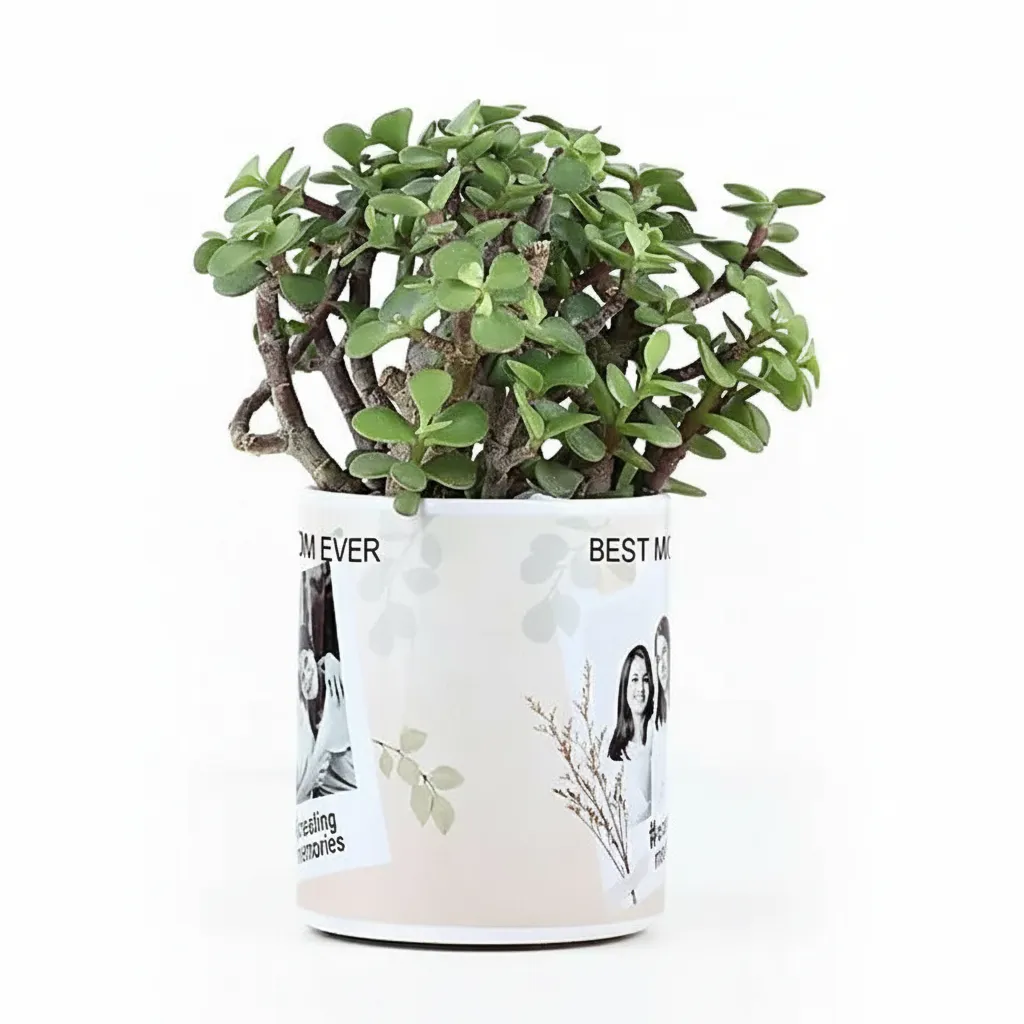 Photo Mug with Jade Plant