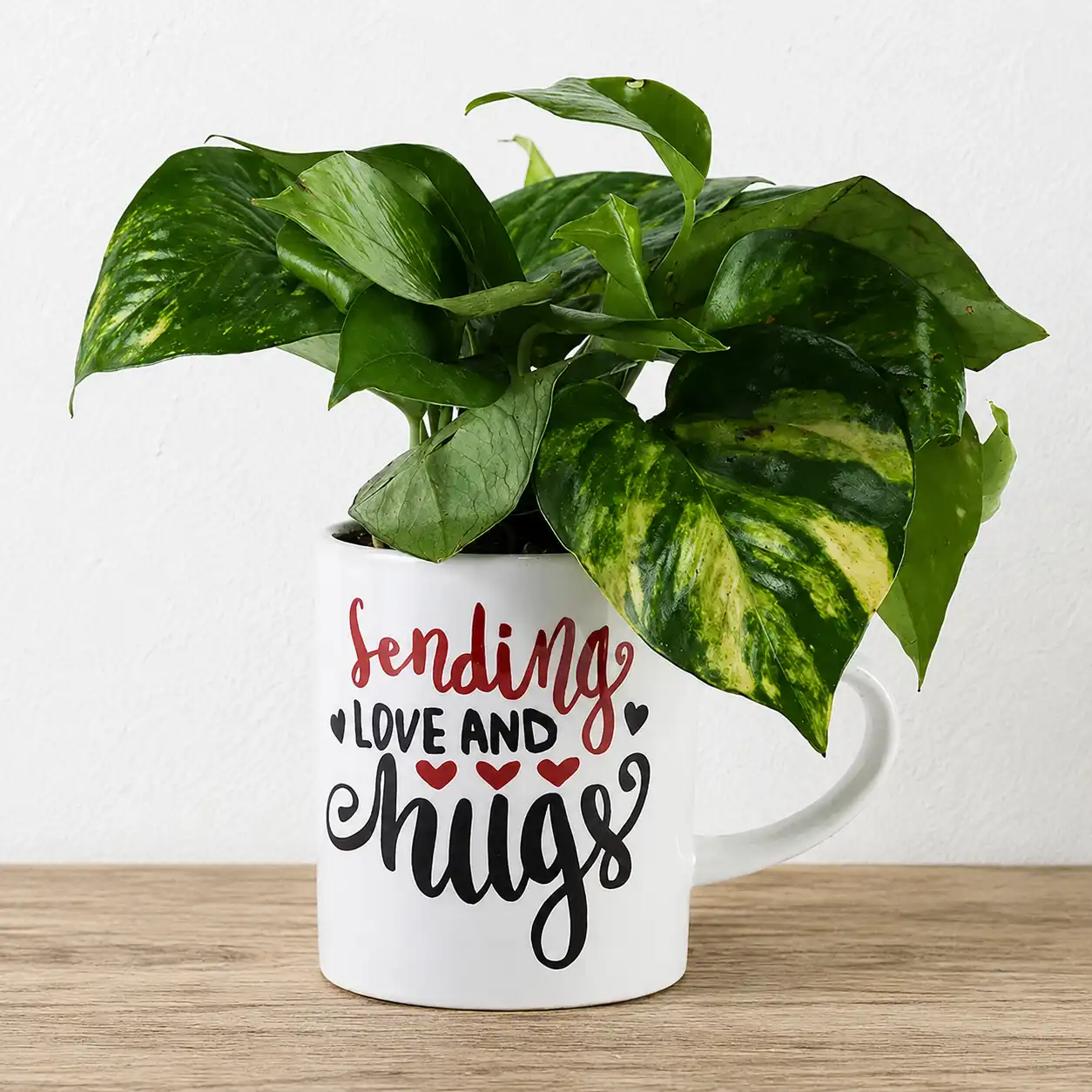Money Plant in Love Mug
