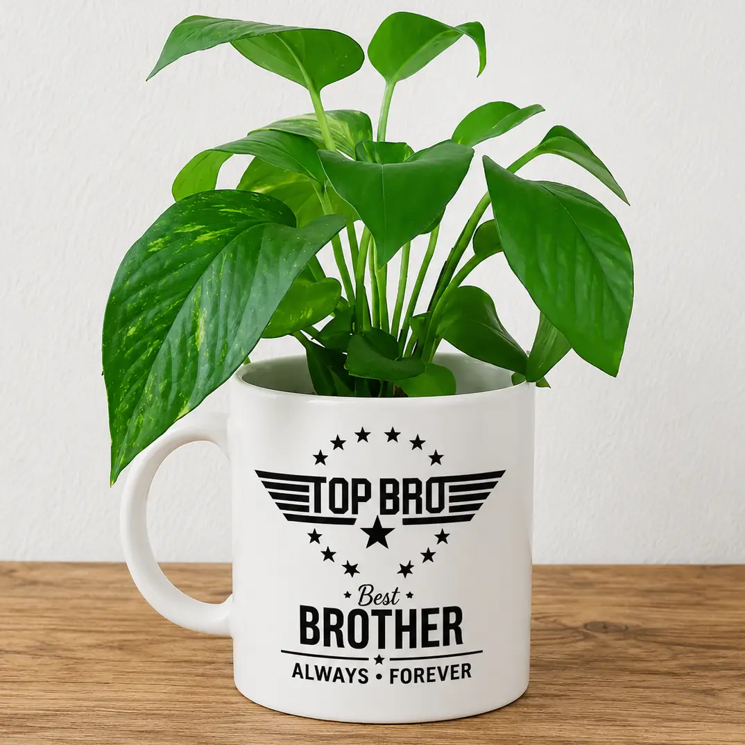Money Plant in Best Brother Printed Mug — photo 2