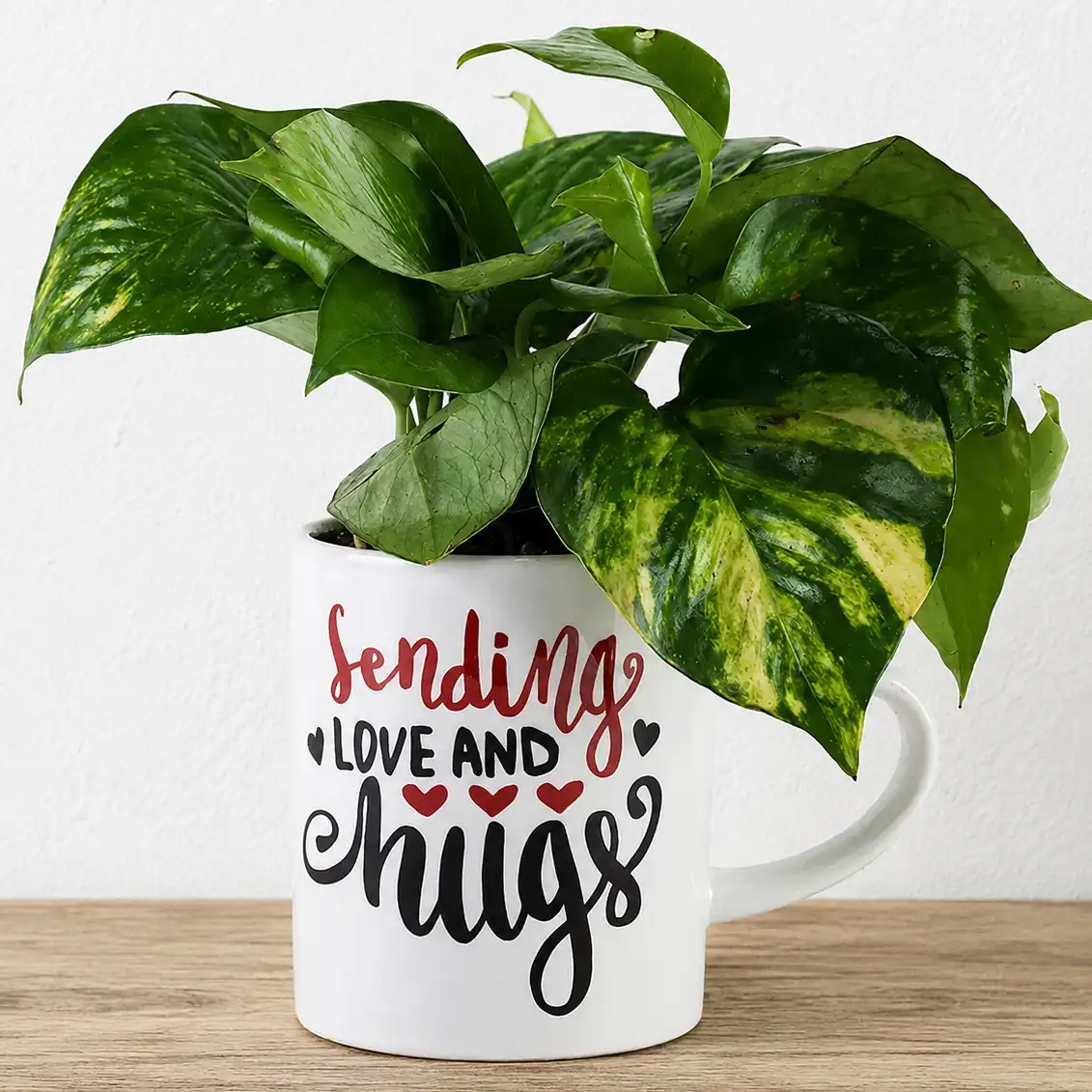 Money Plant in Love Mug — photo 2