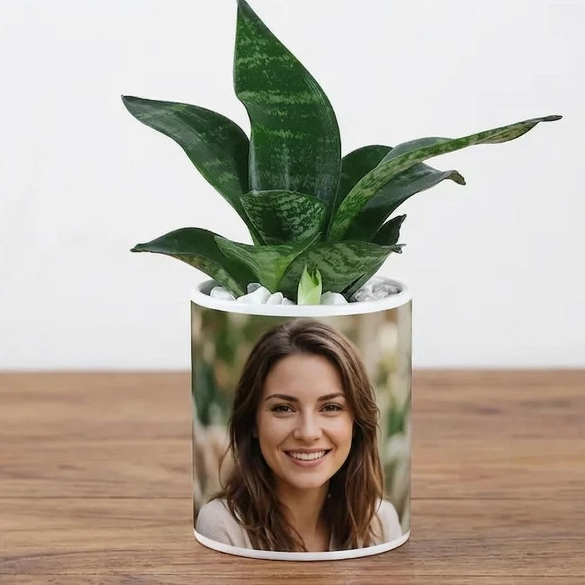 Custom Photo with Snake Plant 