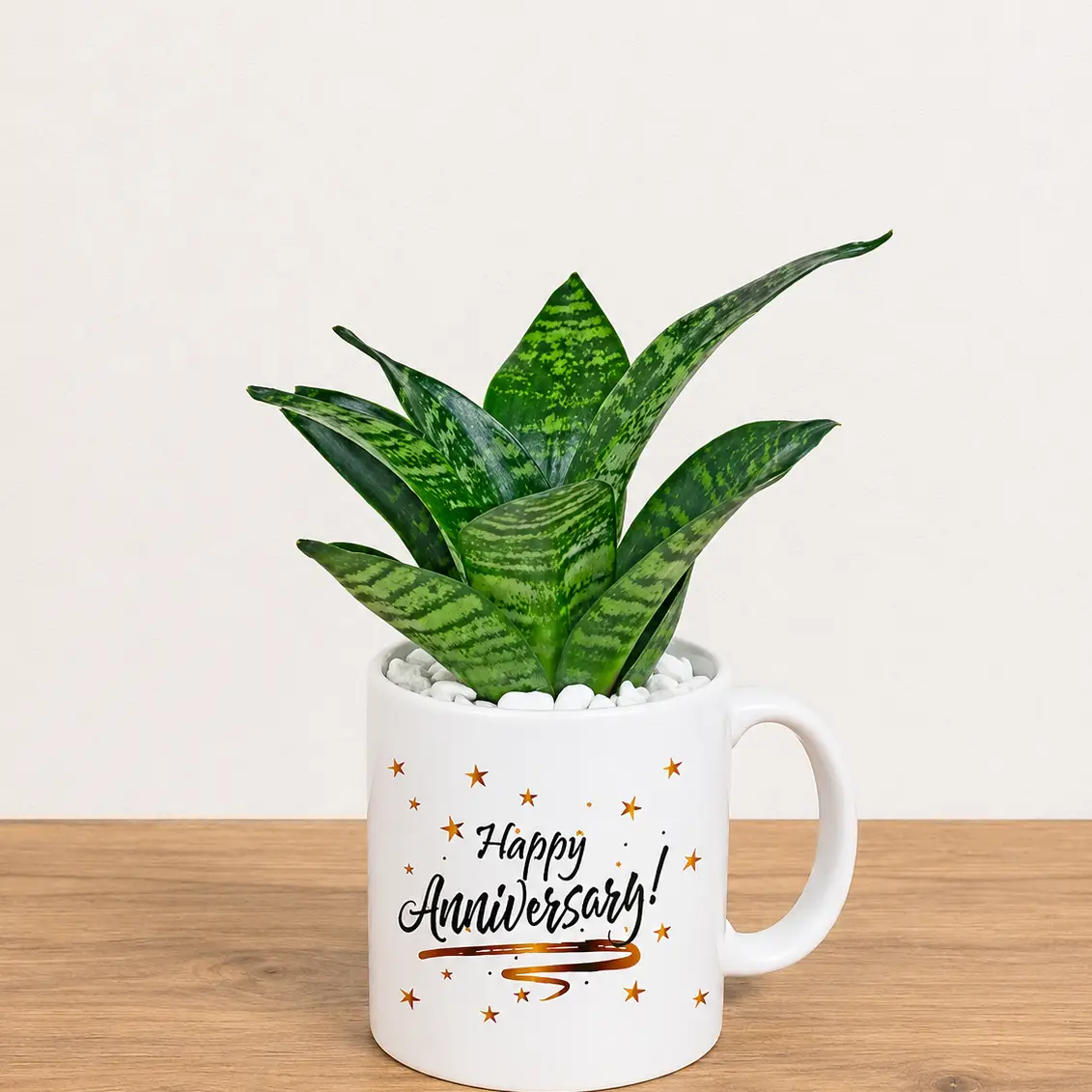 Snake Plant Gift Mug for Anniversary