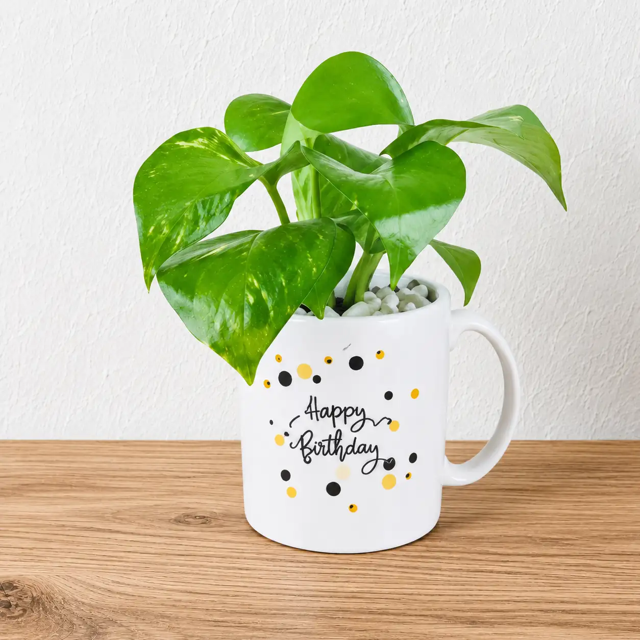 Money Plant Birthday Mug — photo 2