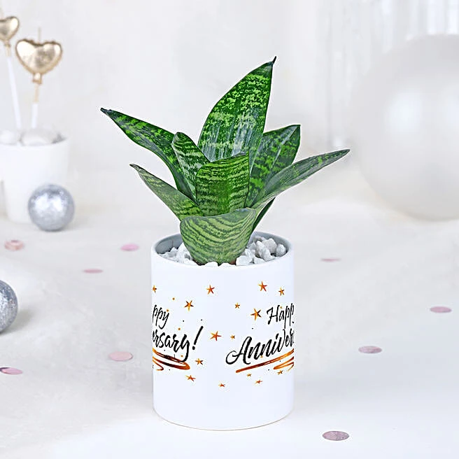 Snake Plant Gift Mug for Anniversary 