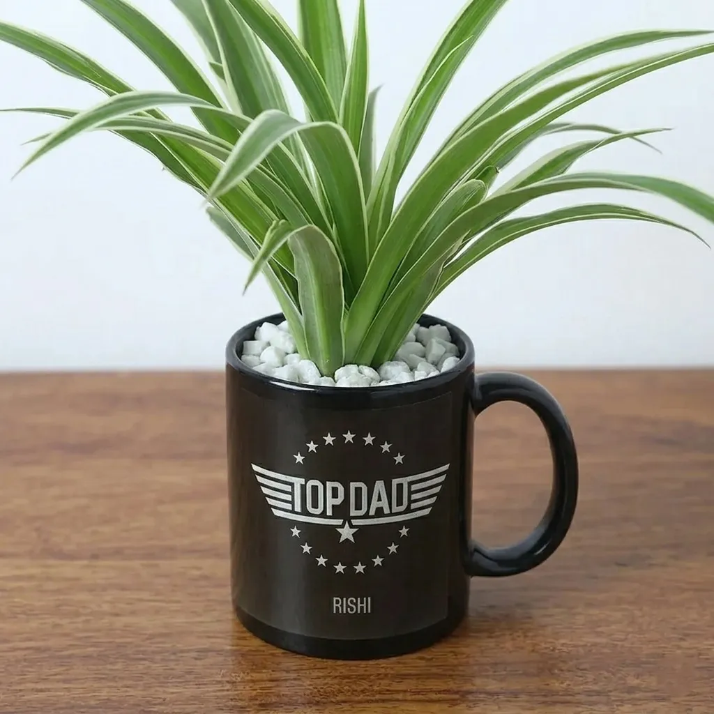 Spider Plant in Mug