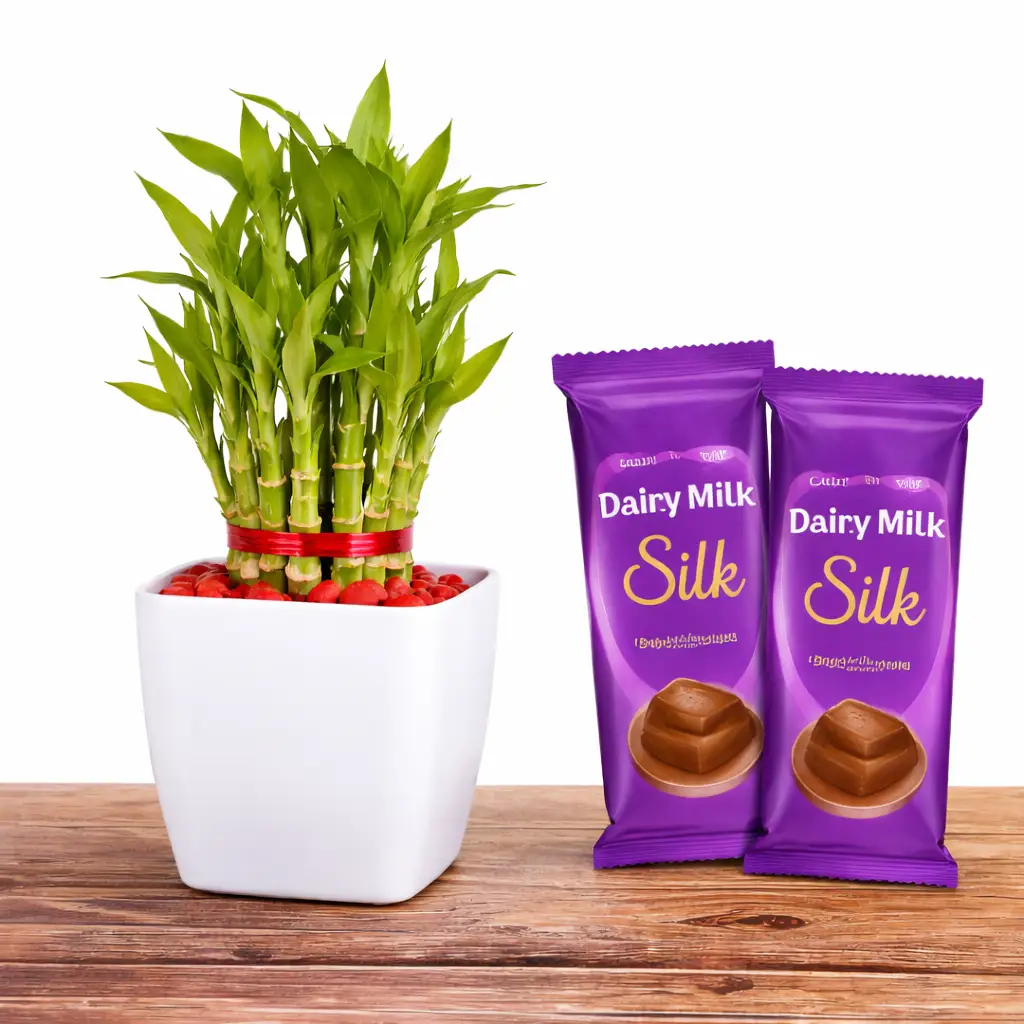 Lucky Bamboo and Chocolate Combo Gift