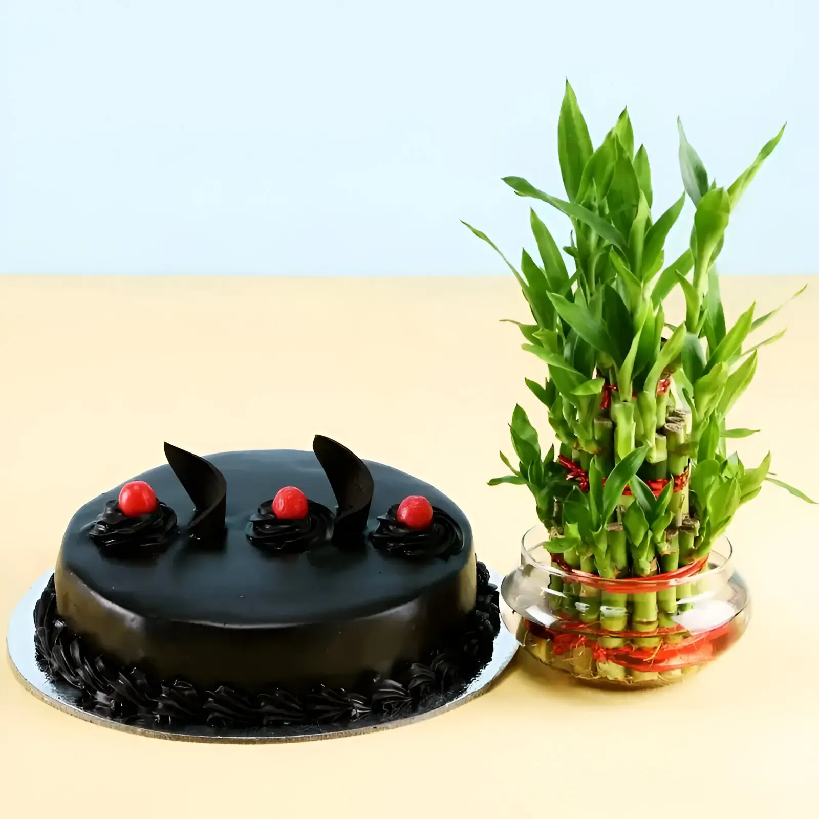 Truffle Cake N 3 Layer Lucky Bamboo