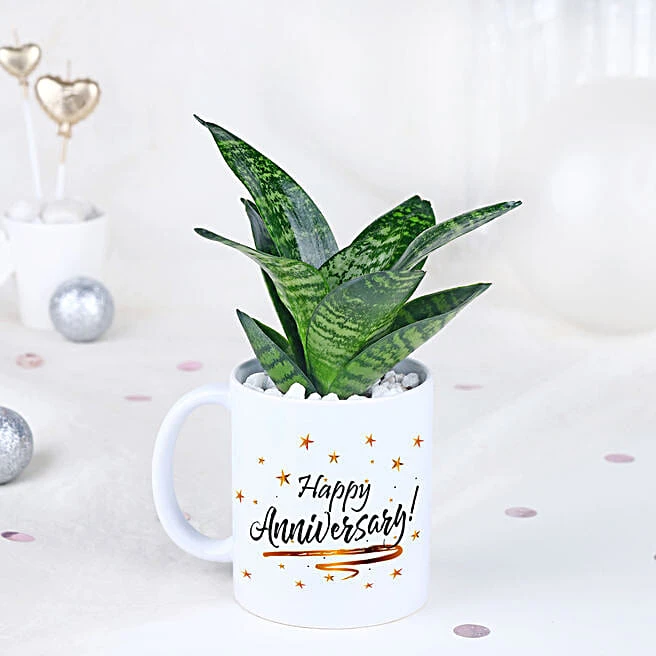 Snake Plant Gift Mug for Anniversary 